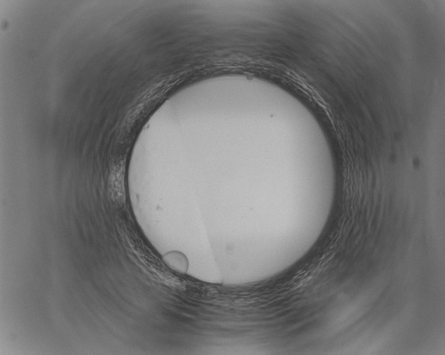 X0000061140641200512161531