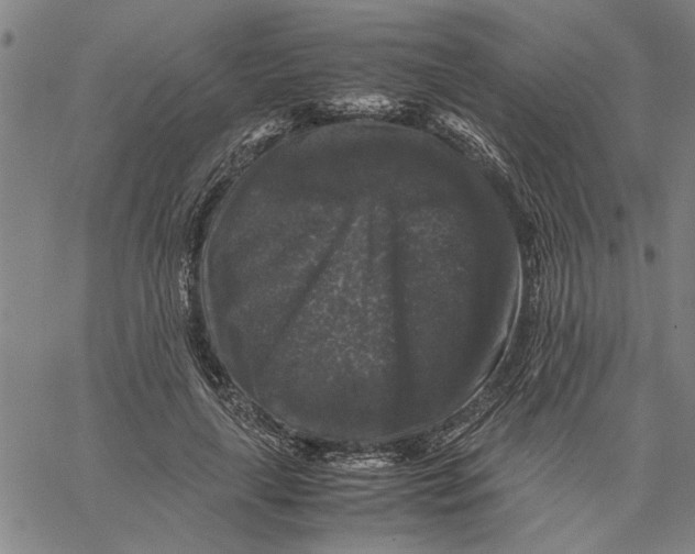 X0000061140643200512161531