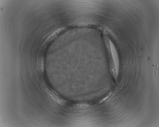 X0000061140644200512161531