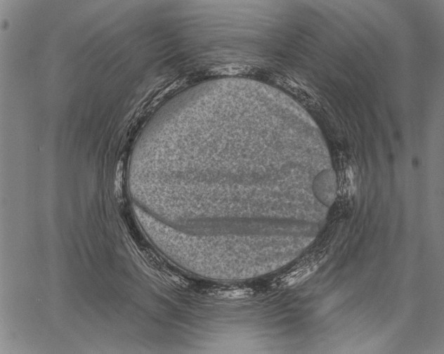 X0000061140646200512161531