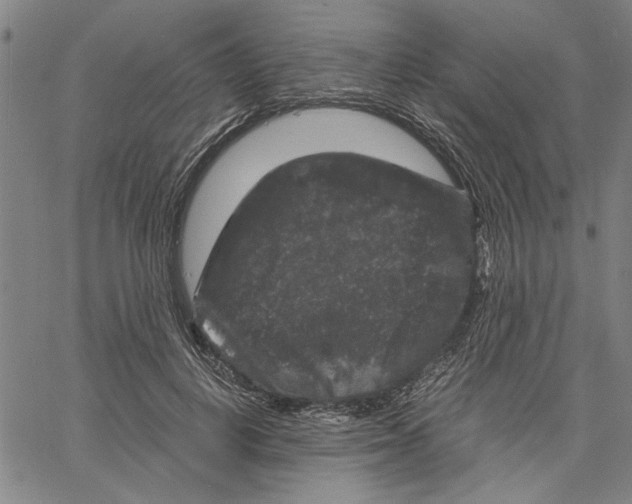 X0000061140648200512161531