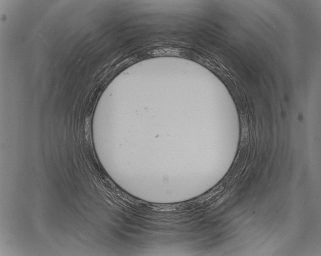 X0000061140649200512161531