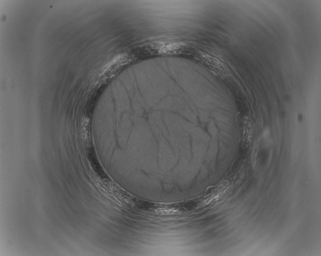 X0000061140650200512161531