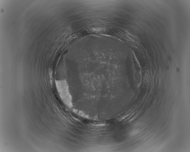 X0000061140651200512161531