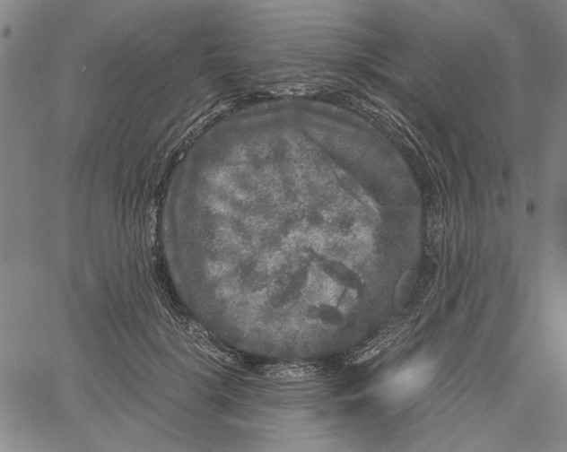 X0000061140652200512161531