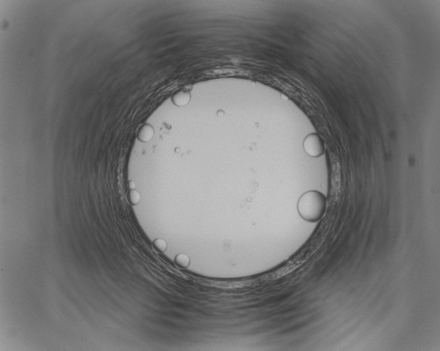 X0000061140653200512161531