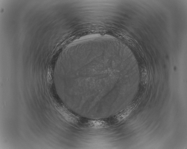 X0000061140654200512161531