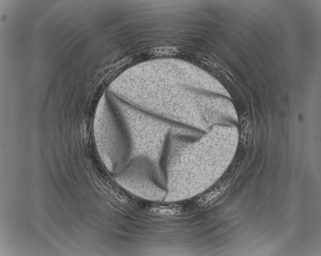 X0000061140655200512161531