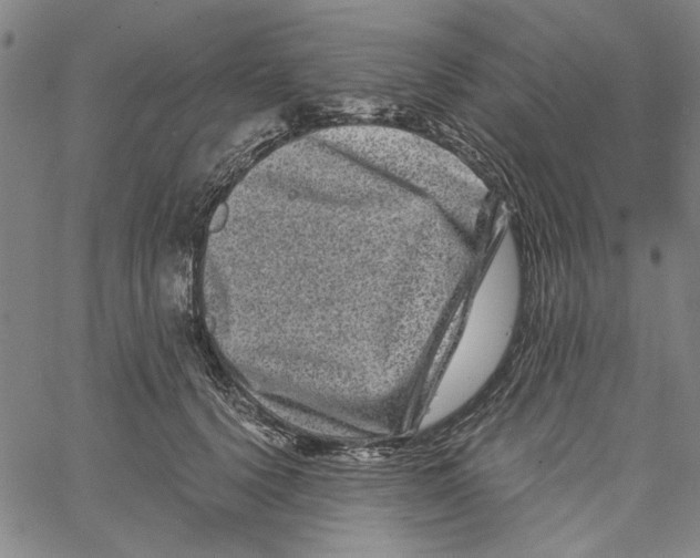 X0000061140656200512161531