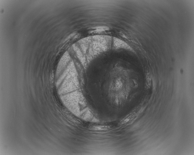 X0000061140657200512161531