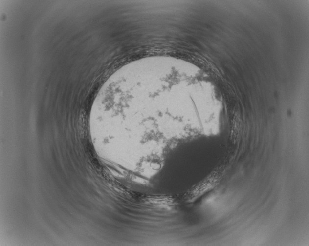 X0000061140659200512161531