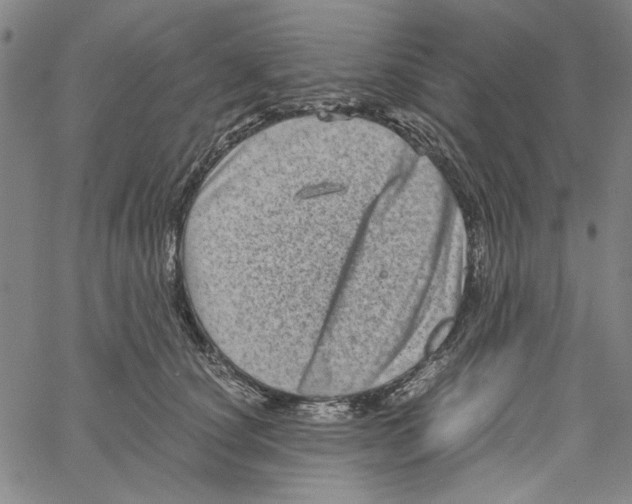 X0000061140660200512161531