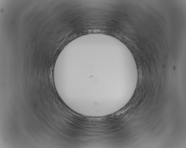 X0000061140661200512161531