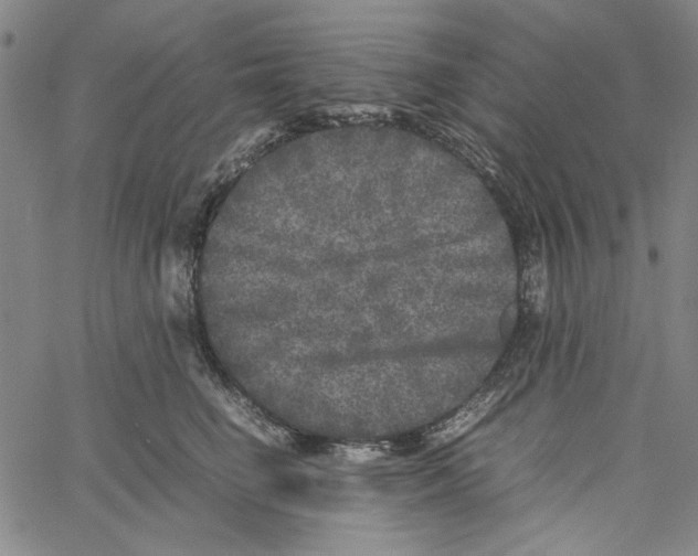 X0000061140662200512161531