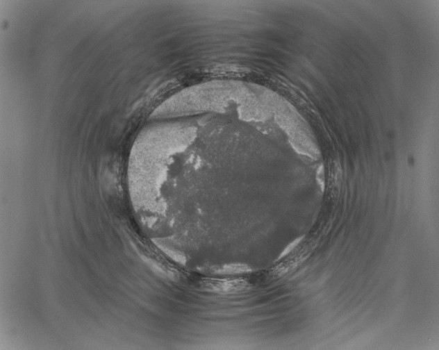 X0000061140663200512161531