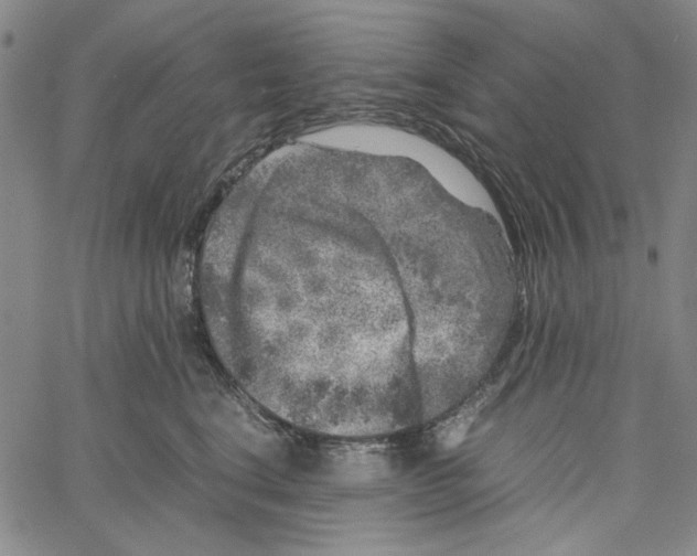 X0000061140664200512161531