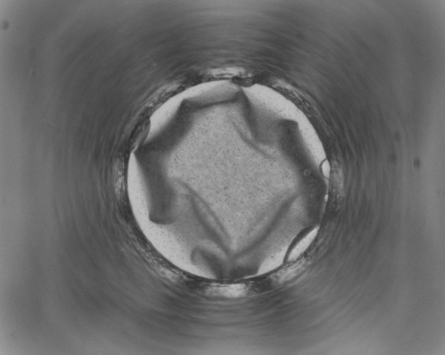 X0000061140665200512161531