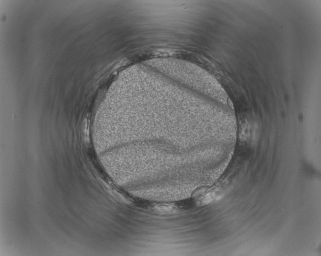 X0000061140666200512161531