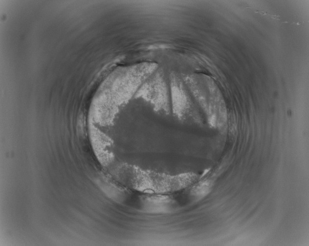 X0000061140669200512161531