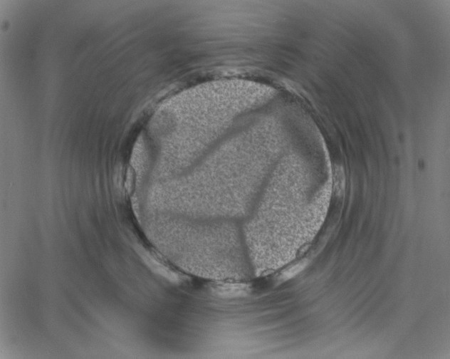 X0000061140670200512161531