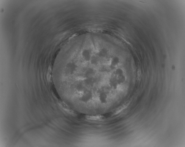 X0000061140671200512161531