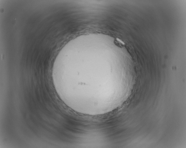 X0000061140672200512161531