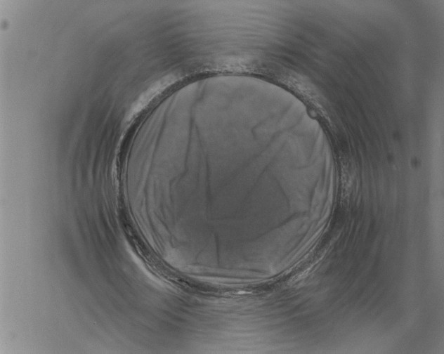 X0000061140674200512161531