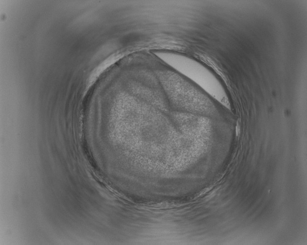 X0000061140675200512161531