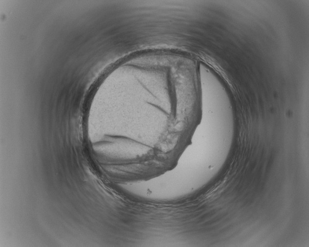 X0000061140676200512161531