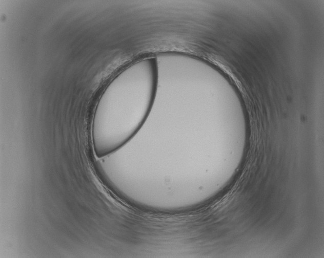 X0000061140677200512161531