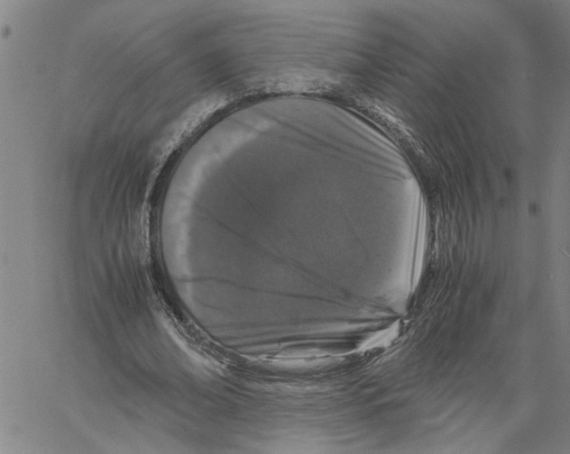 X0000061140678200512161531