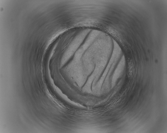 X0000061140680200512161531