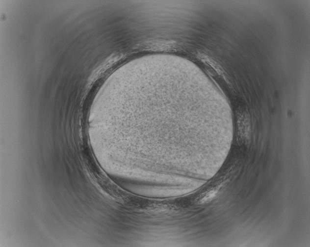 X0000061140682200512161531