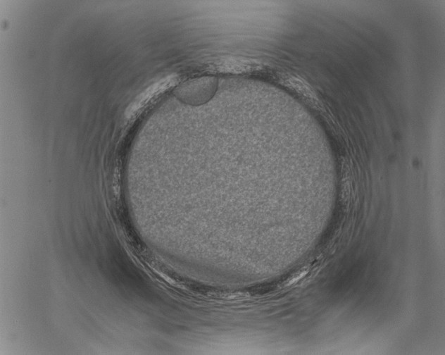 X0000061140683200512161530