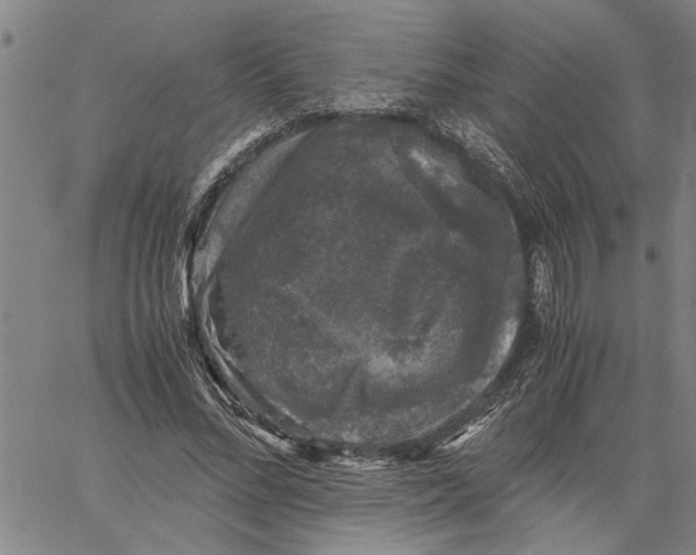 X0000061140684200512161530