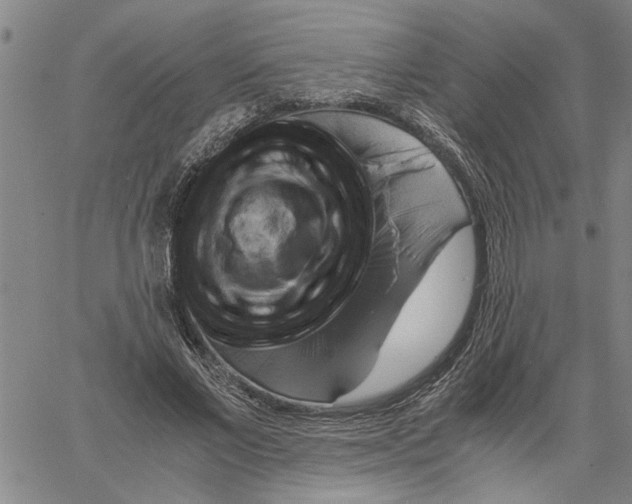 X0000061140685200512161530