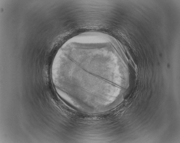 X0000061140688200512161530