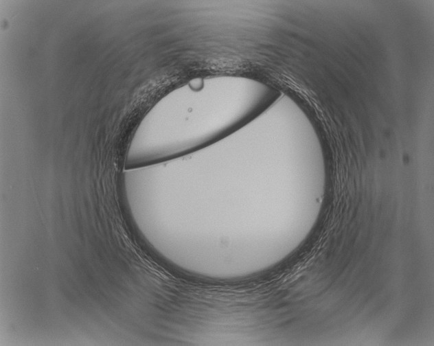 X0000061140689200512161530