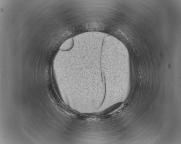 X0000061140690200512161530