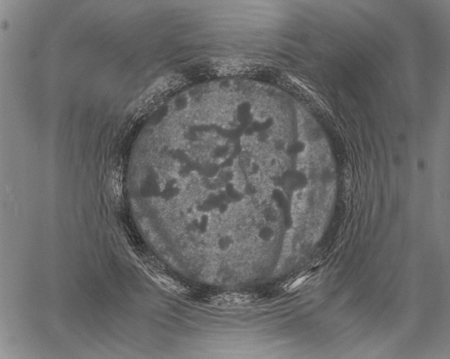 X0000061140691200512161530