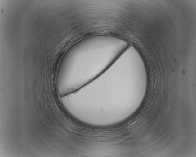 X0000061140693200512161530