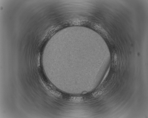 X0000061140694200512161530