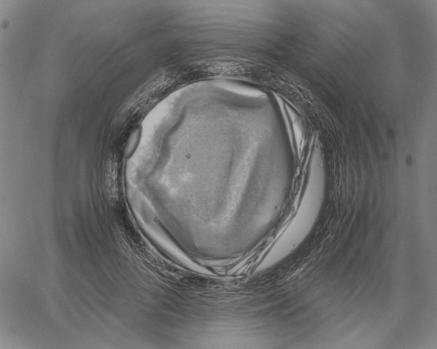 X0000061140696200512161530