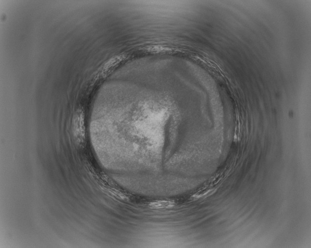 X0000061140700200512161530