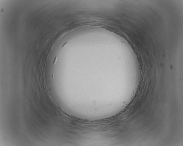 X0000061140701200512161530