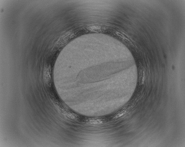 X0000061140702200512161530