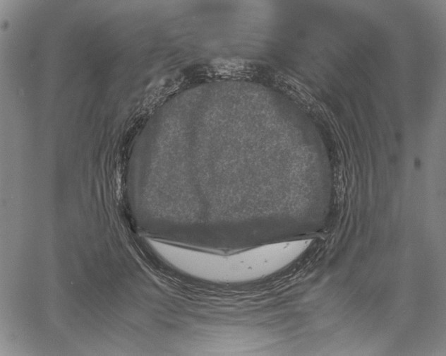 X0000061140703200512161530