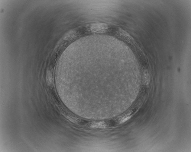 X0000061140705200512161530