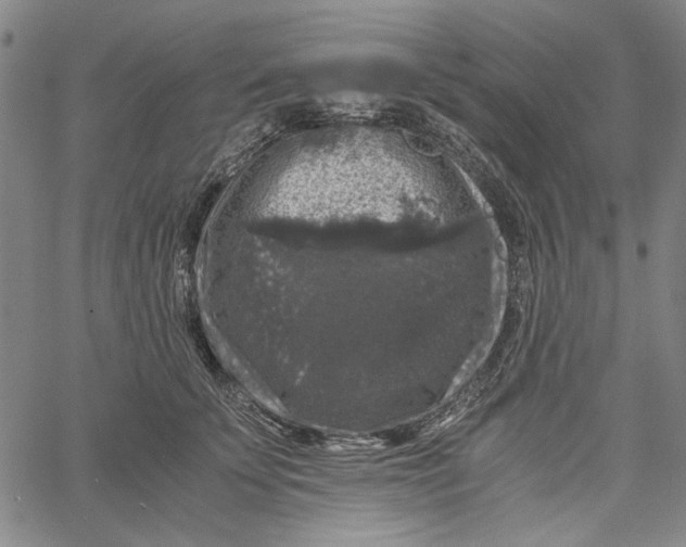 X0000061140707200512161530