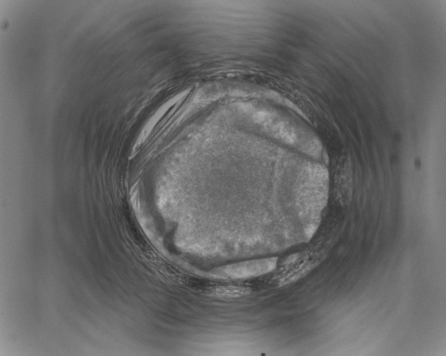 X0000061140708200512161530